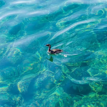 Apartman Ra Ica - One Bedroom *