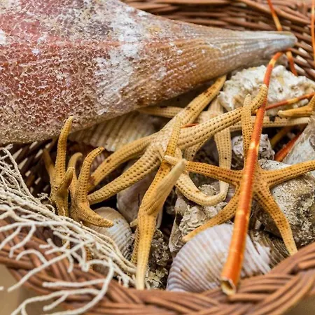 Ra Ica - One Bedroom