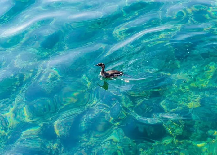 شقة Ra Ica - One Bedroom *