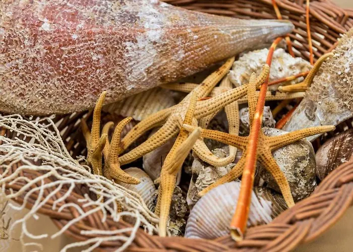 Ra Ica - One Bedroom